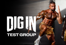 everything-you-need-to-know-about-the-official-dig-in-test-group-december-2025